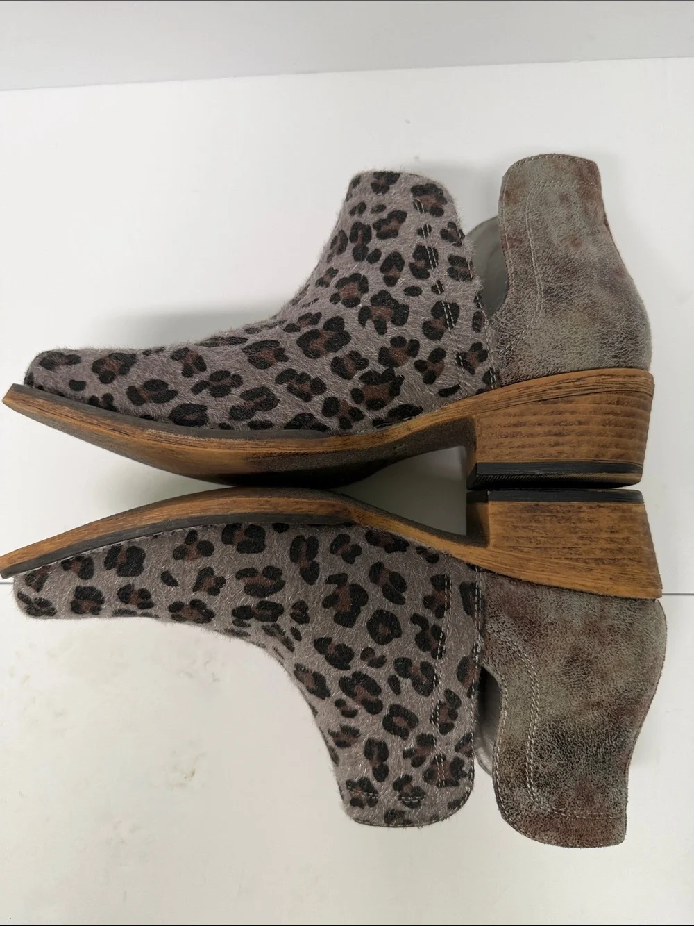 Roper stylish leopard